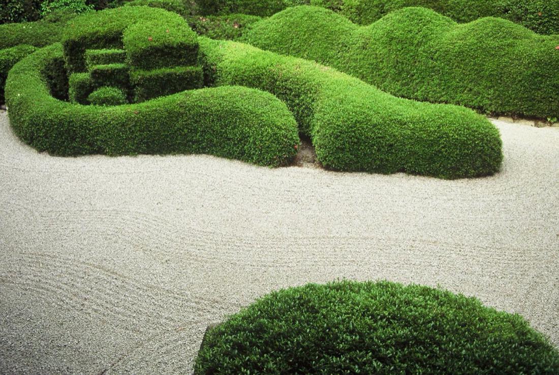 Jardín de setos esculpidos con precisión